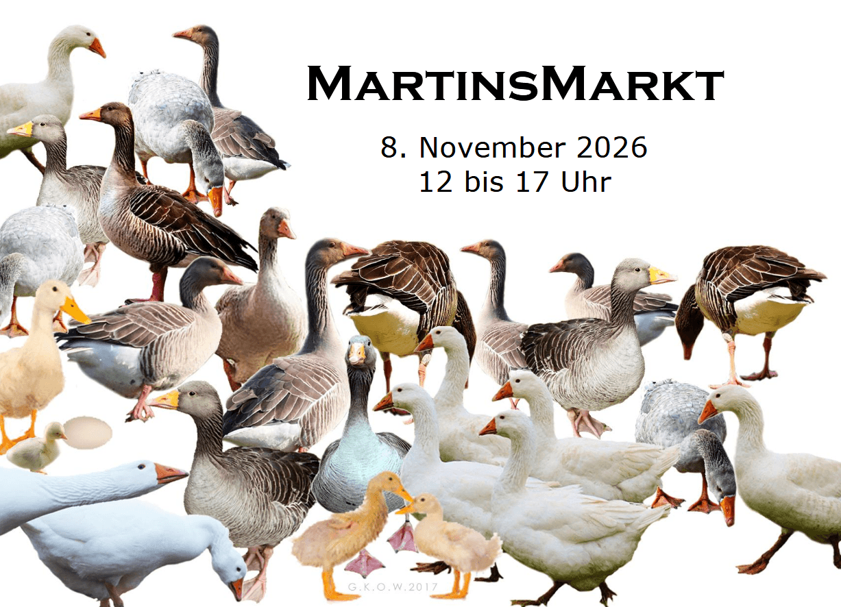 Martinsmarkt in Riddagshausen