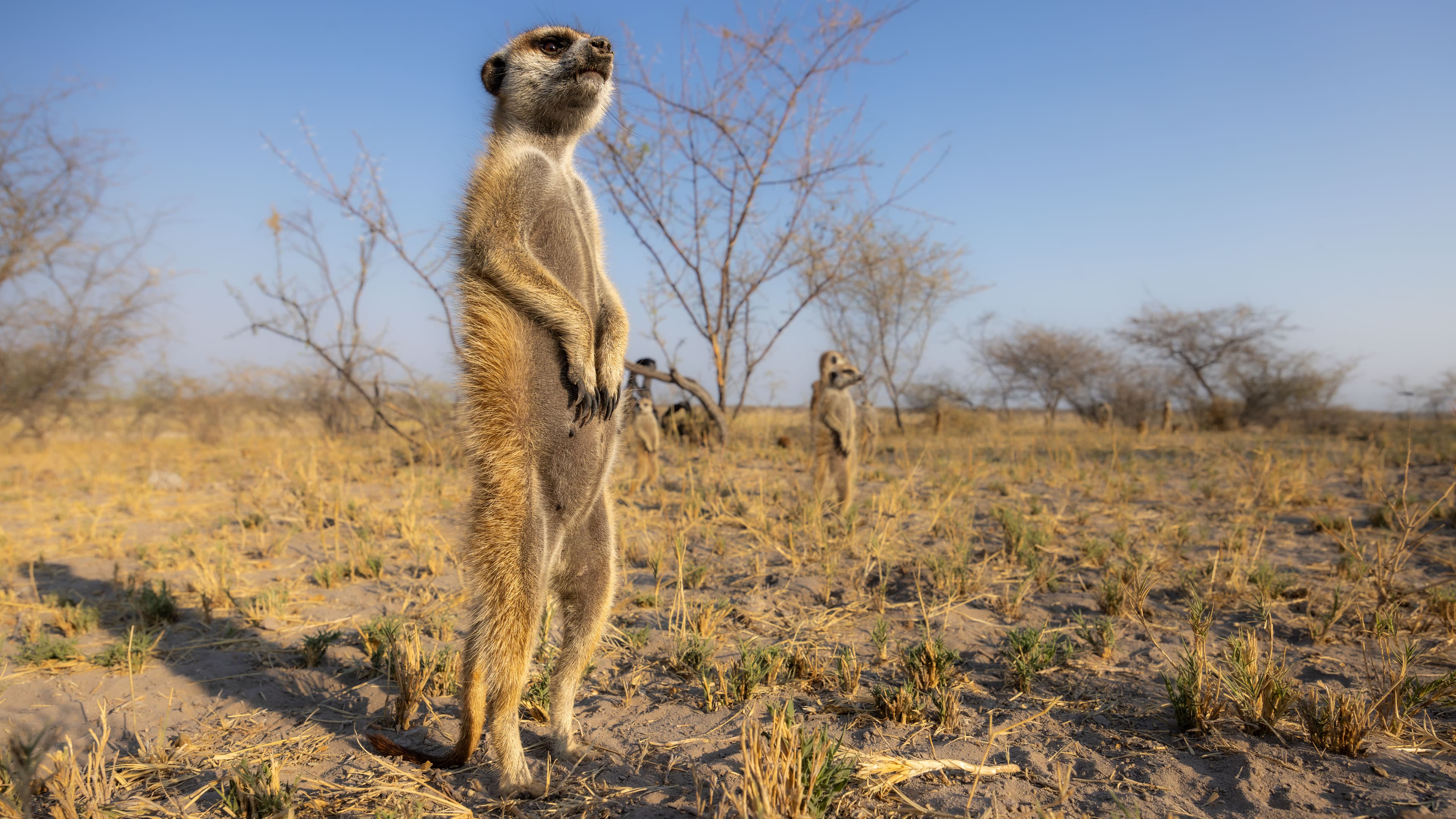 Namibia & Botswana