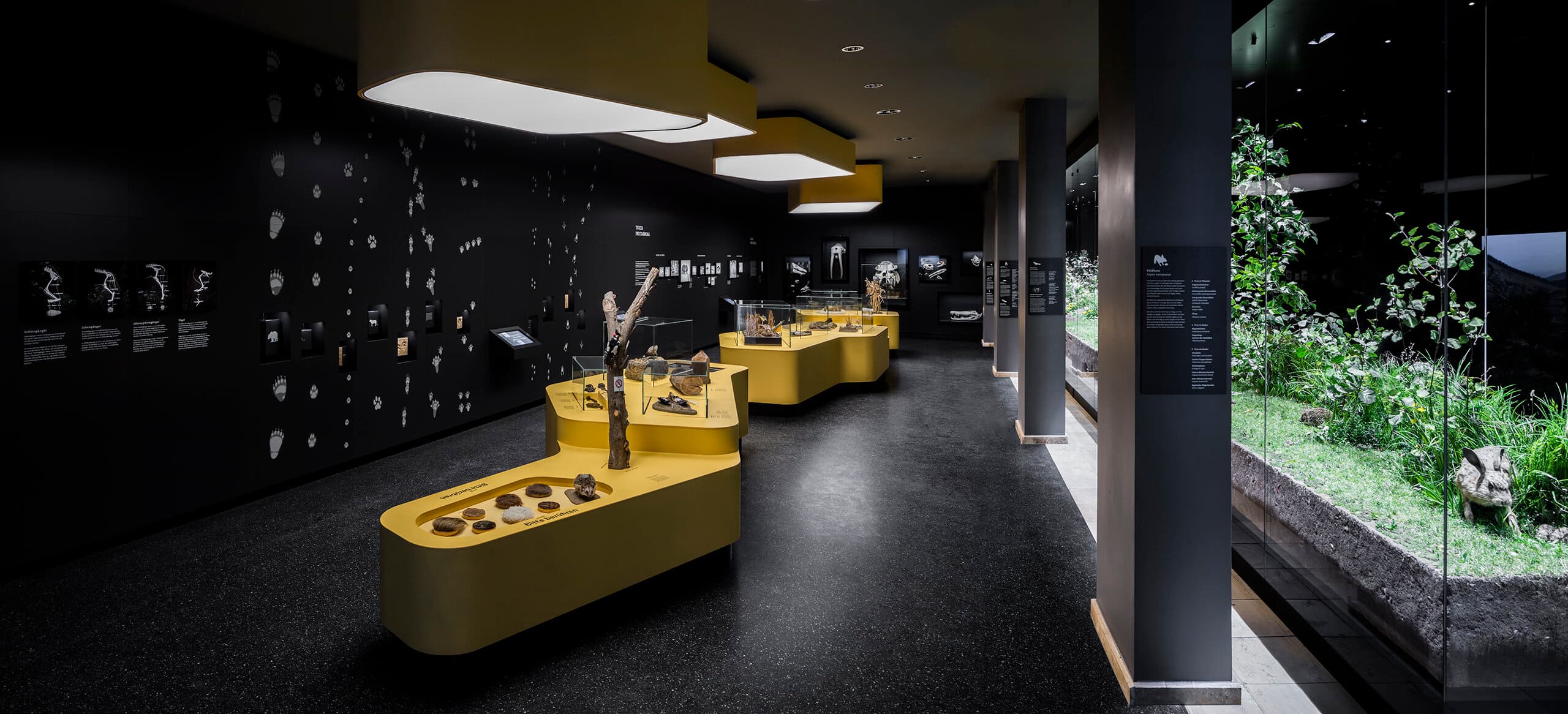Staatliches Naturhistorisches Museum